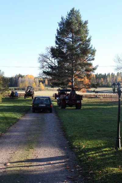 2013_10_1315_18_114821 (683x1024).jpg