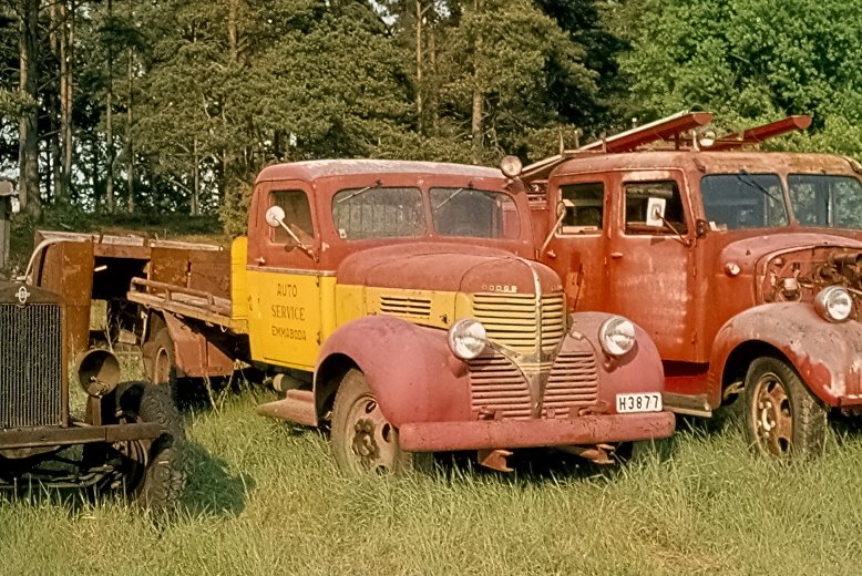 Dodge.39 1978.jpg