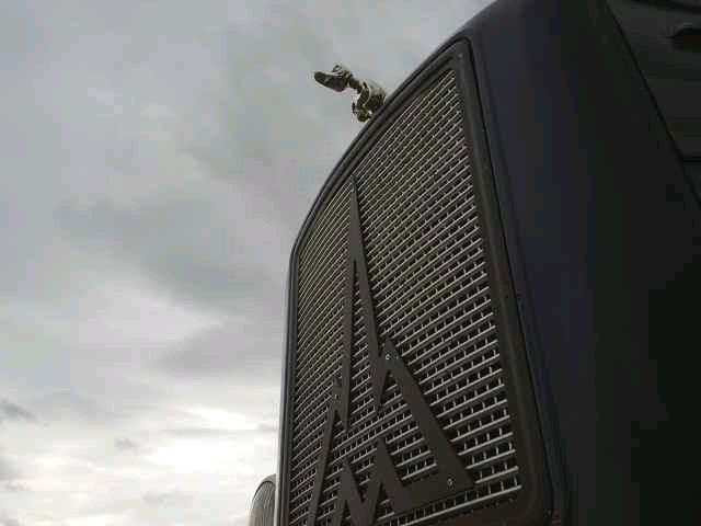 Duck in the sky.jpg
