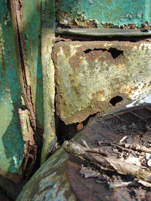 DSC05515.JPG