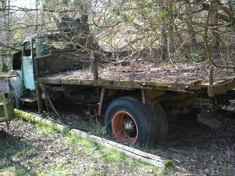 DSC05510.JPG