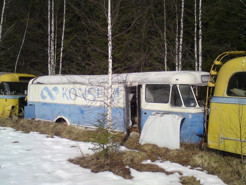 buss2.jpg