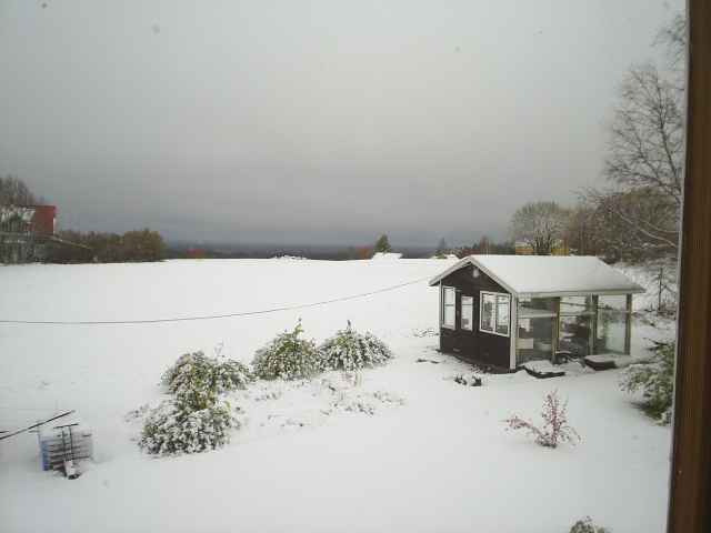 Schnee.jpg