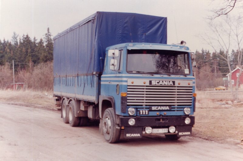 111.jpg
