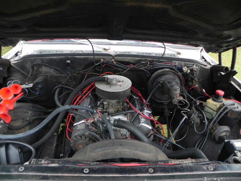 DSCN4425.JPG