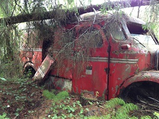 IMG_1846 mini.jpg