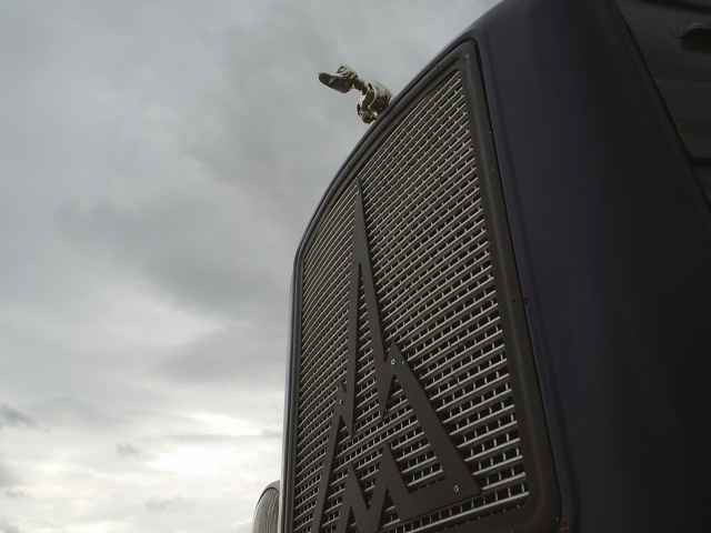 Duck in the sky 640x480.jpg