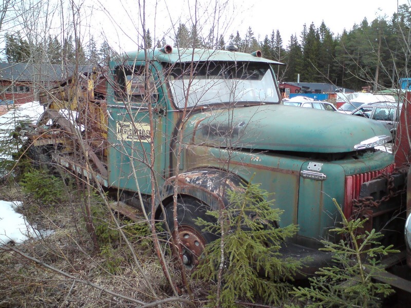 Bild%2520009.jpg
