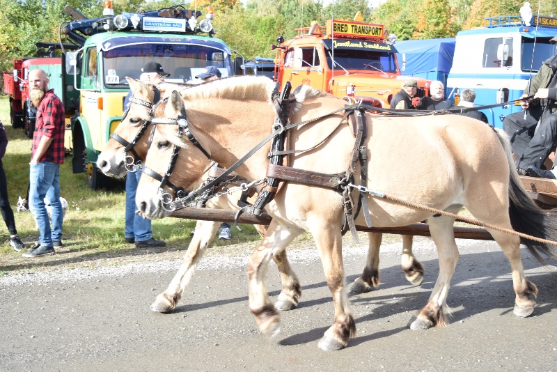 DSC_0003.JPG