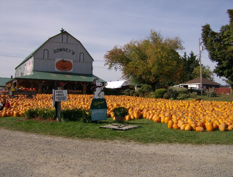 Canada 2007 014.jpg