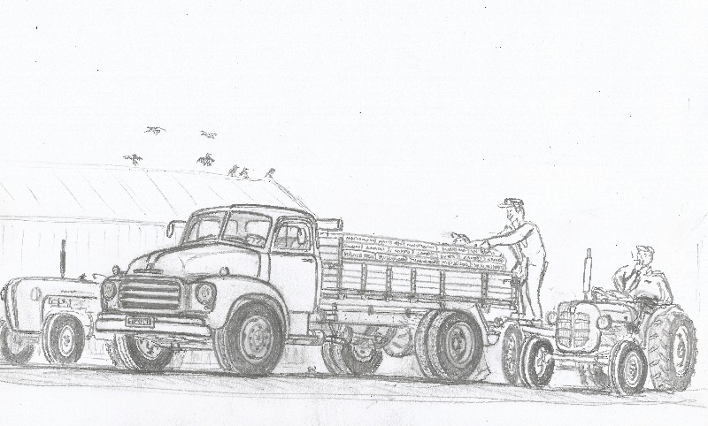 bedford rehu2.jpg