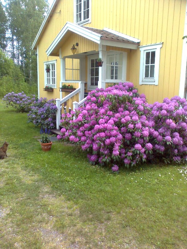 Rhodos i Snesslingesjö.jpg