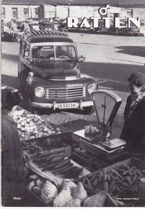 ratten854.jpg