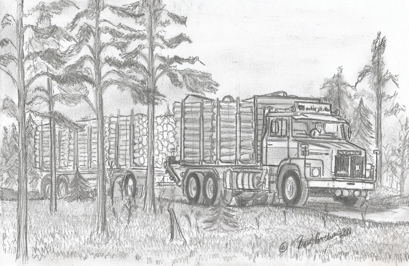 141 metsässä.jpg