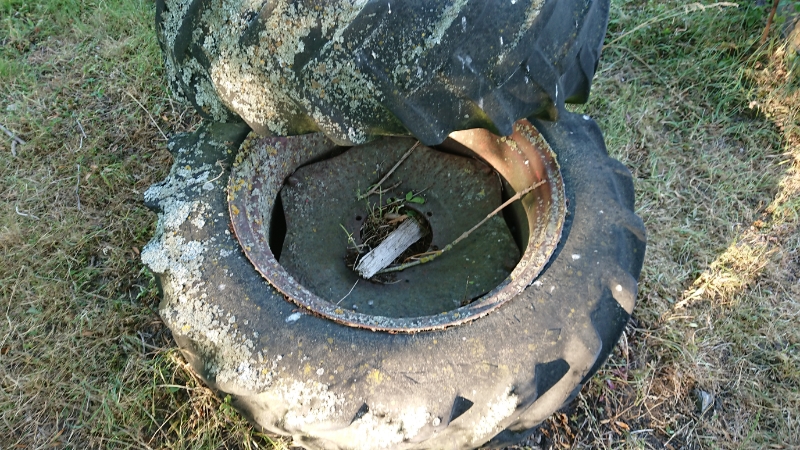 DSC_0017.JPG