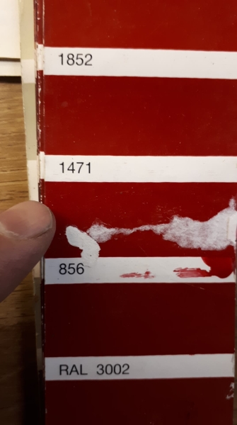 47035017_2250558841892767_3027162180798644224_n.jpg