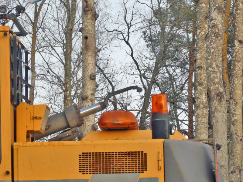 P1050058 (Medium).jpg