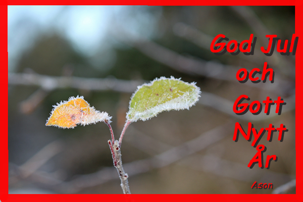 GodJul_600.jpg