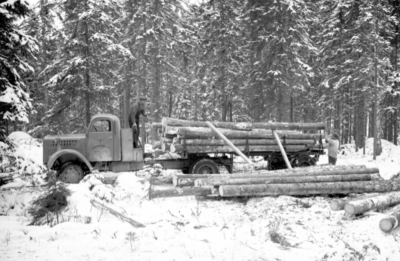 XLM.CL006343-2 - Scania-Vabis 2F12 - 1948 - X1593 - Kopparfors Åmots Bruk - Digitalt Museum.JPG