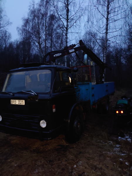 DSC_0774.JPG