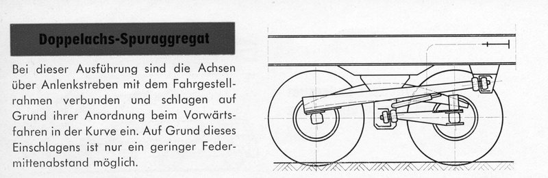 Doppelachs001_1.jpg