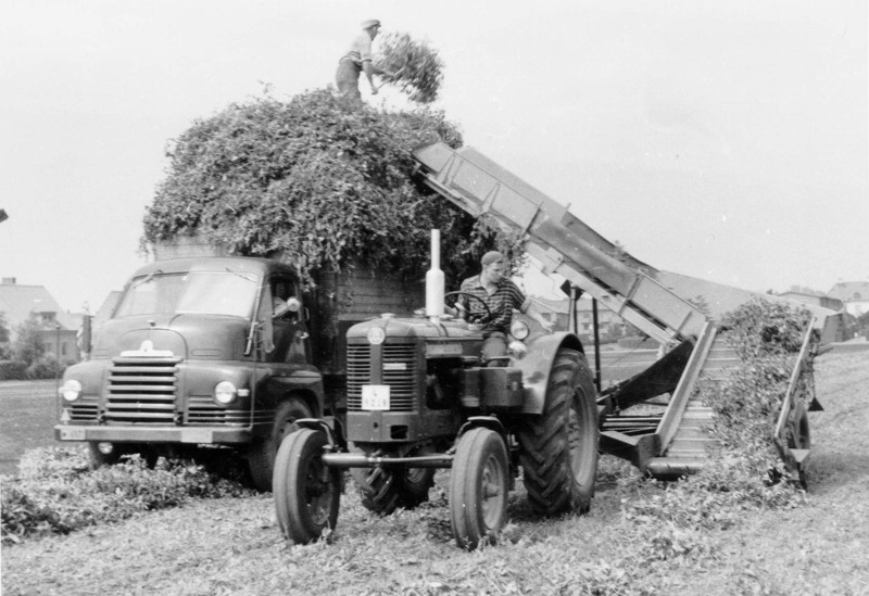 Bedford - Ärtskord - Höganäs 1957 - LR.JPG