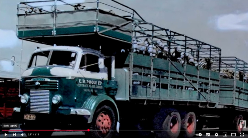 Commer.jpg
