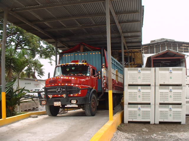 Mercedes-Benz - Guayaquil.JPG