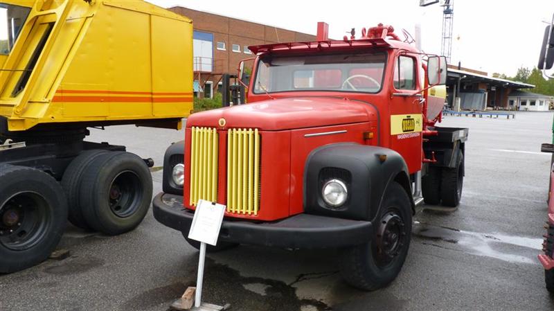 P1090583 (Large) (Medium).JPG