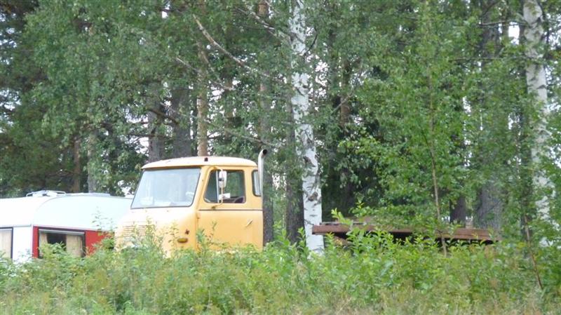 P1090902 (Large) (Medium).JPG