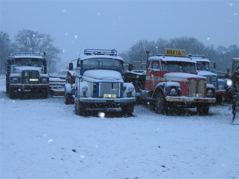 IMG_0147 (Medium).JPG