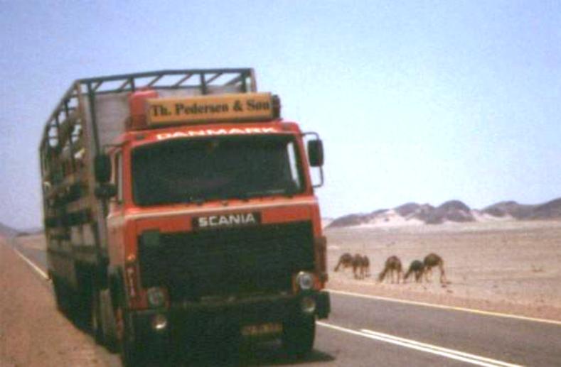Scania_140_i_Saudi_i_maj_1982.jpg