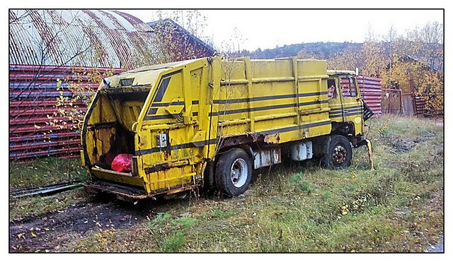 sopigscania2.jpg