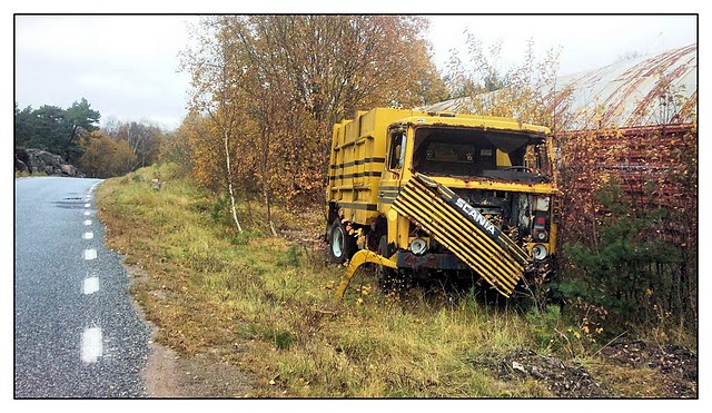 sopigscania.jpg