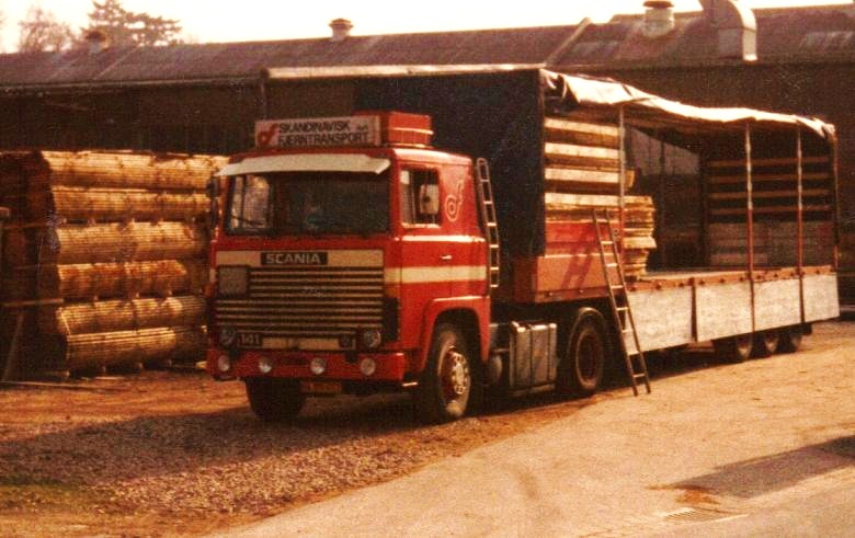 laster træ i Bari Italy.jpg