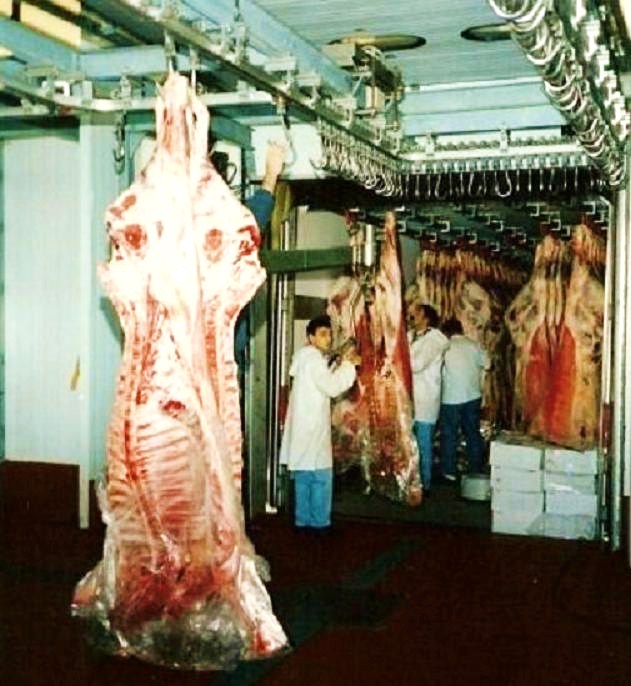 Losning vid köttmottageren.jpg