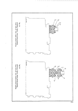 side 1.gif