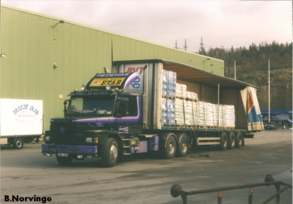 1999_bvt_norvinge.jpg