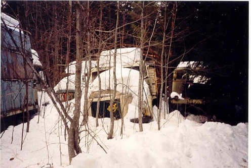 Lastbilar i skogen.JPG