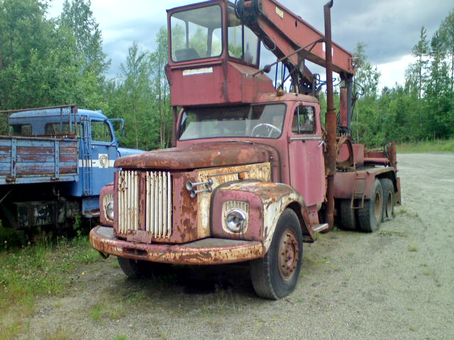 DSC02507.jpg