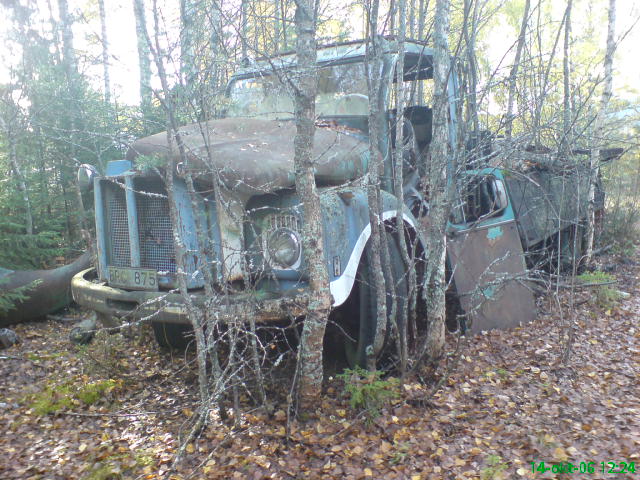 DSC00048.JPG