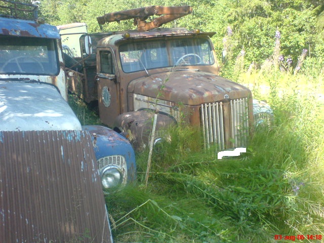 DSC00379.JPG