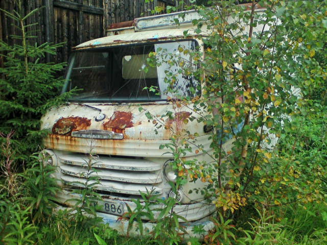 DSC02667.jpg