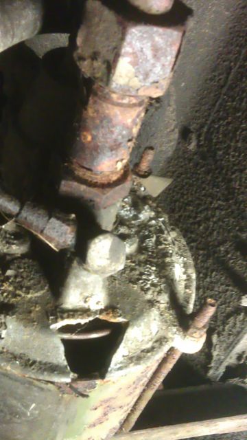 IMAG0095.jpg