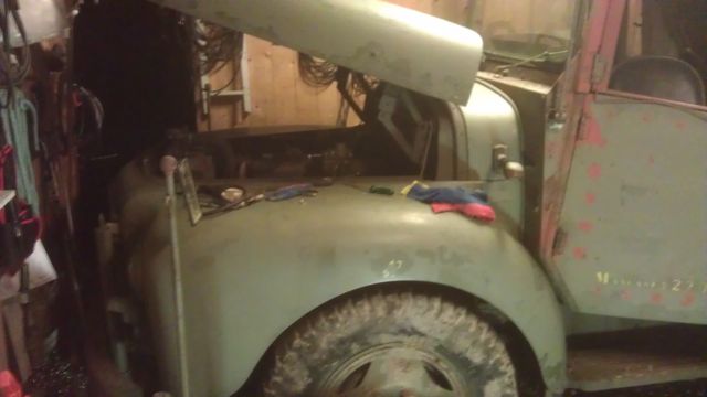 IMAG0105.jpg