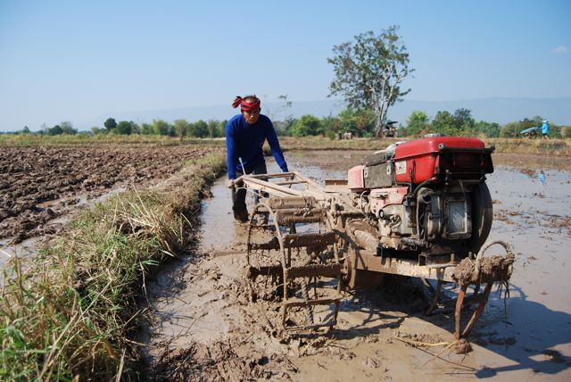 thai traktor.jpg