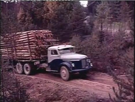 volvo 2.jpg