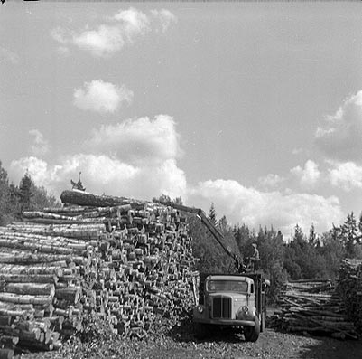 1960.jpg