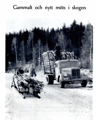 img001 (552x800).jpg