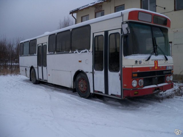 buss4.jpg